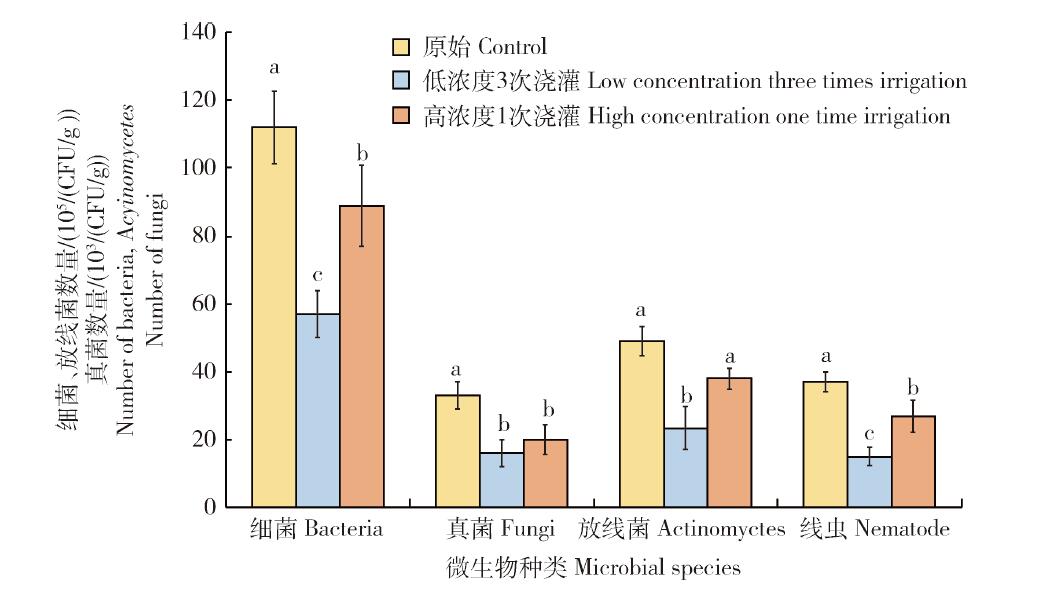 低濃度3次澆灌和高濃度1次澆灌土壤中微生物數(shù)量