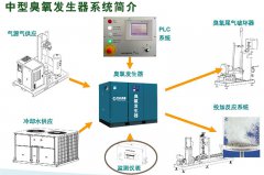 臭氧發(fā)生器系統(tǒng)的基本構(gòu)成