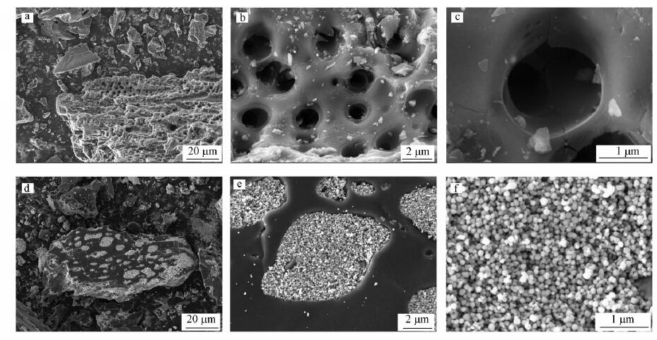 圖1 AC（a~c）及Fe3O4-CeOx/AC（d~f）的SEM 圖