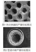 臭氧發(fā)生器可以抑制循環(huán)冷卻水中的軍團菌嗎