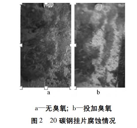 臭氧實(shí)驗(yàn)流程