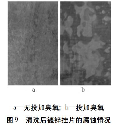 臭氧實(shí)驗(yàn)流程