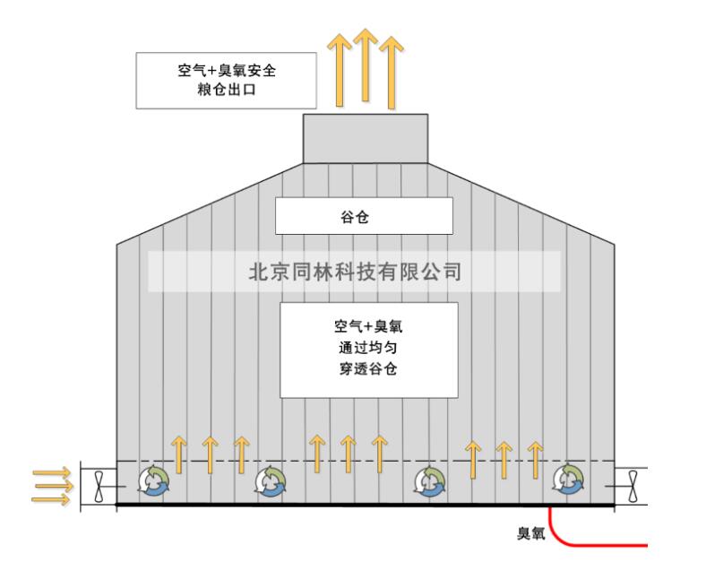 臭氧在谷物中昆蟲控制的作用