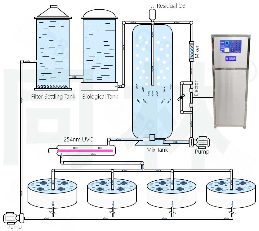 水產(chǎn)養(yǎng)殖臭氧系統(tǒng)工藝圖