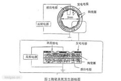 影響臭氧發(fā)生的主要因素有哪些？