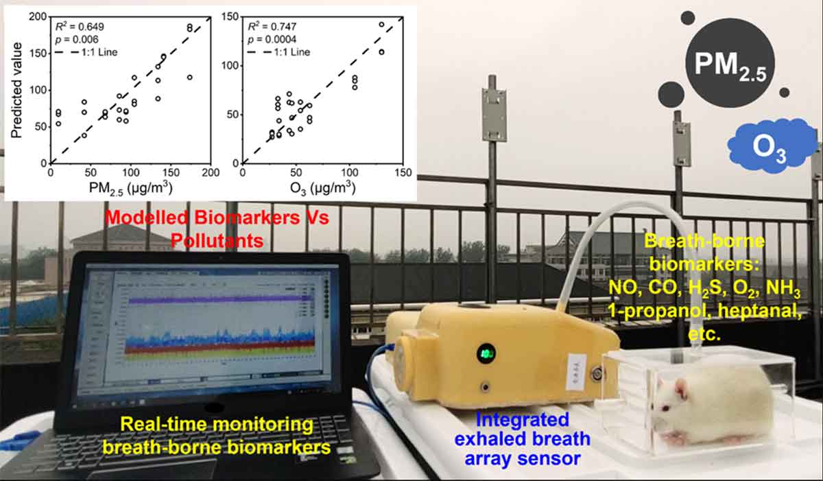 要茂盛課題組使用大鼠呼吸氣態(tài)生物標(biāo)志物實(shí)時(shí)監(jiān)測(cè)空氣污染對(duì)健康的影響